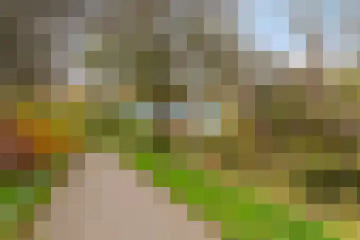 Octant 12 Dordrecht thumbnail 31