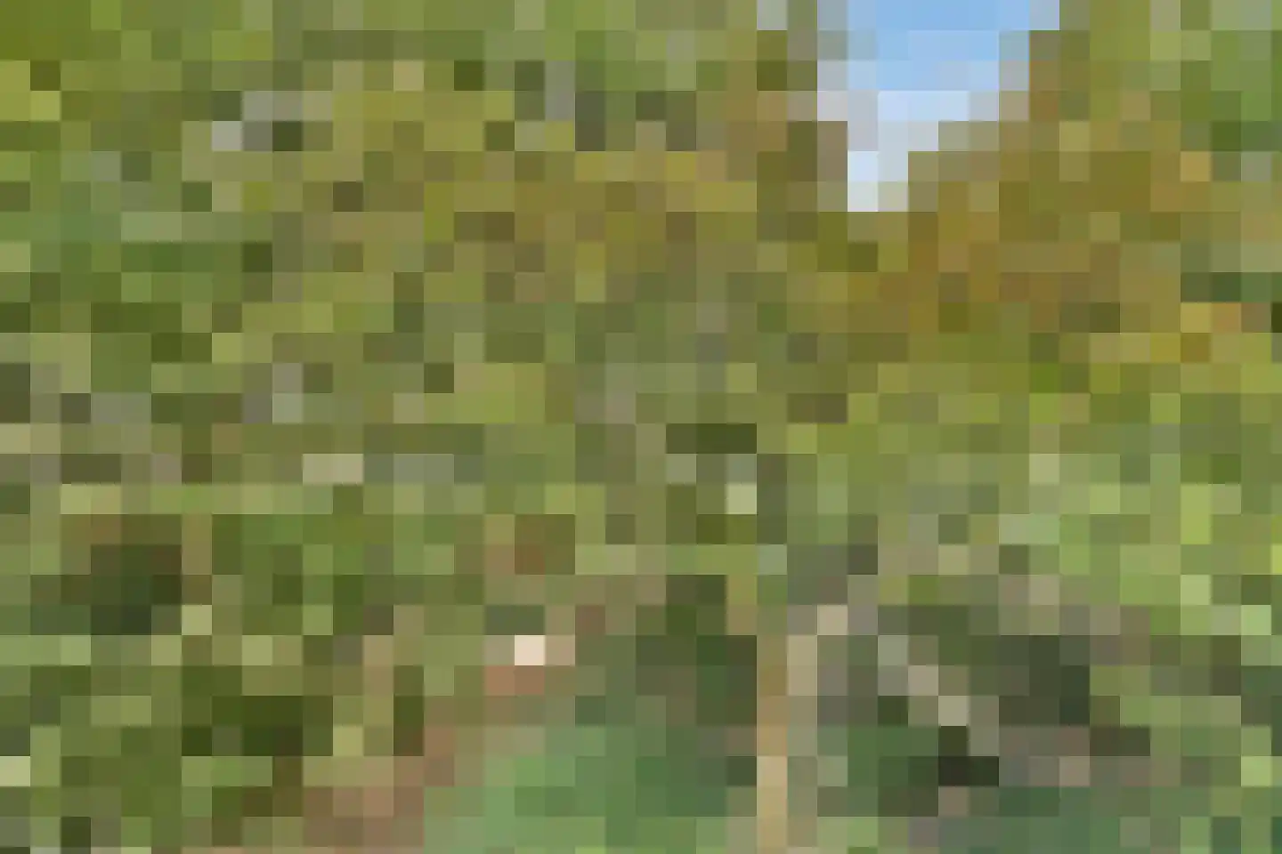 Octant 134 Dordrecht thumbnail 19