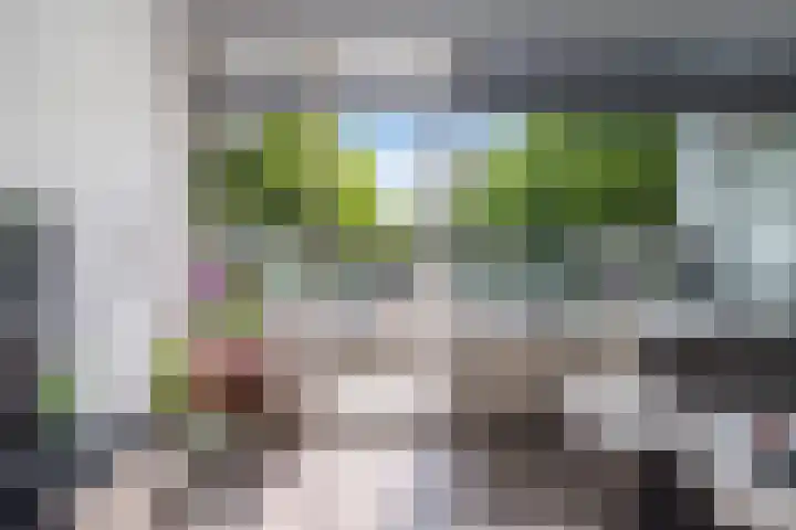 Octant 137 Dordrecht thumbnail 17