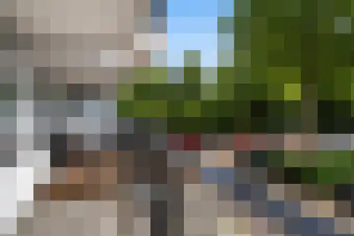 Octant 137 Dordrecht thumbnail 18