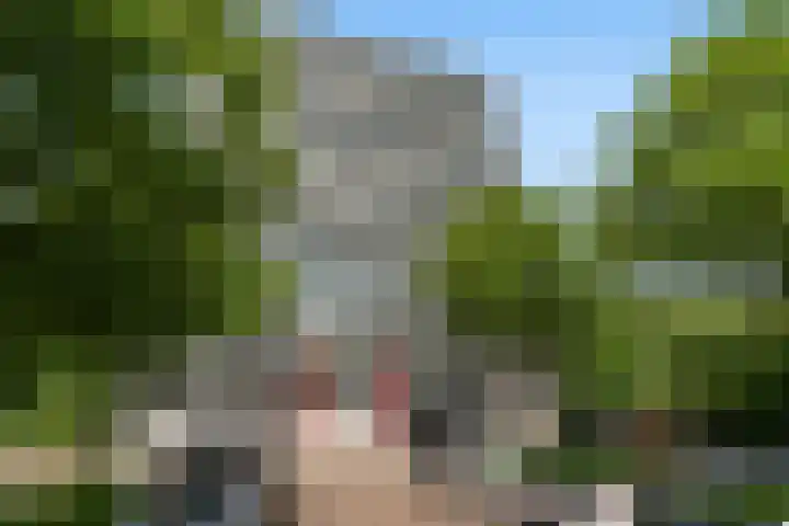 Octant 137 Dordrecht thumbnail 5