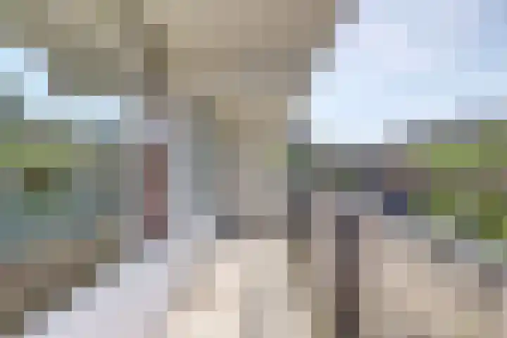 Octant 138 Dordrecht thumbnail 31