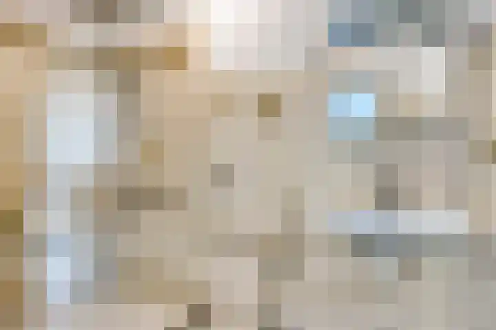 Octant 176 Dordrecht thumbnail 22