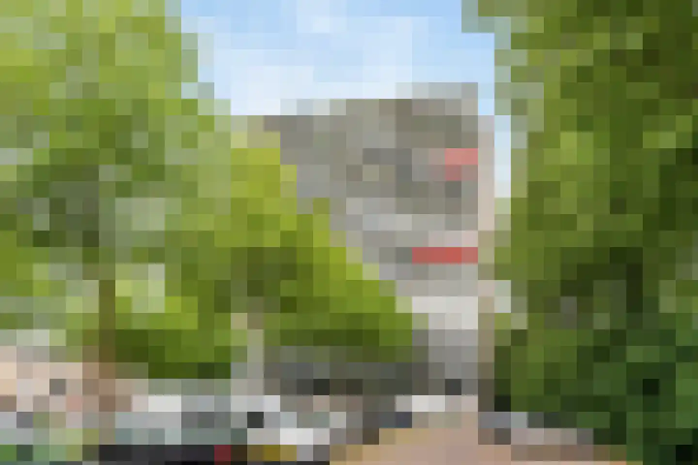 Octant 178 Dordrecht thumbnail 34
