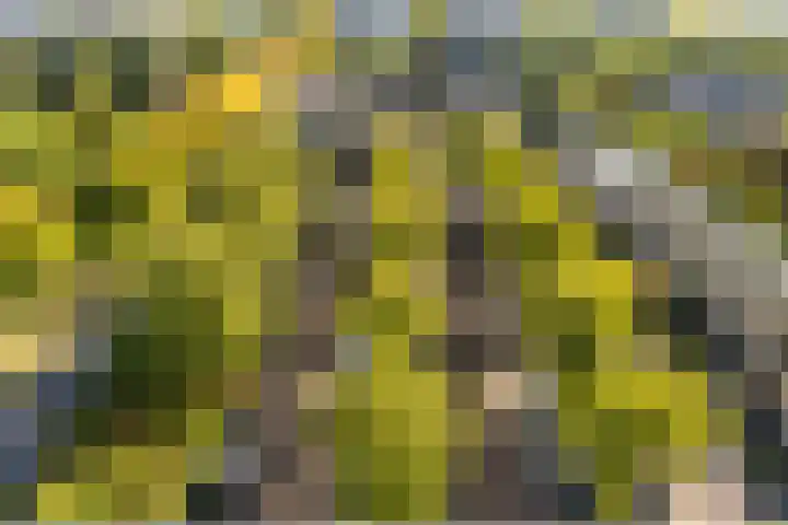 Octant 199 Dordrecht thumbnail 36