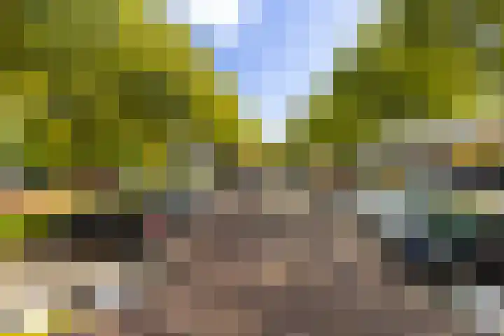 Octant 199 Dordrecht thumbnail 38