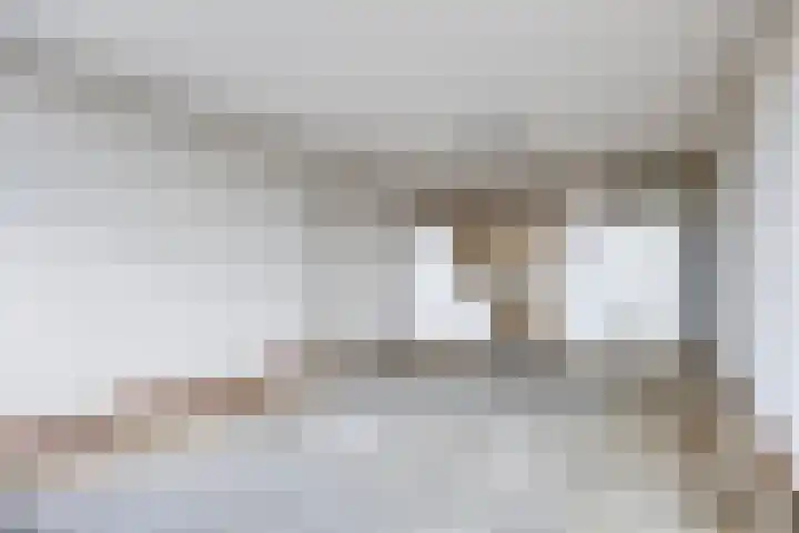 Octant 203 Dordrecht thumbnail 12