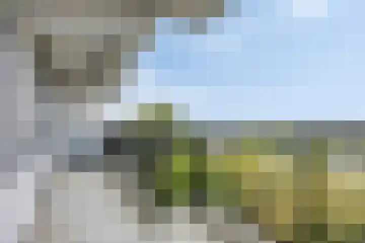 Octant 203 Dordrecht thumbnail 31