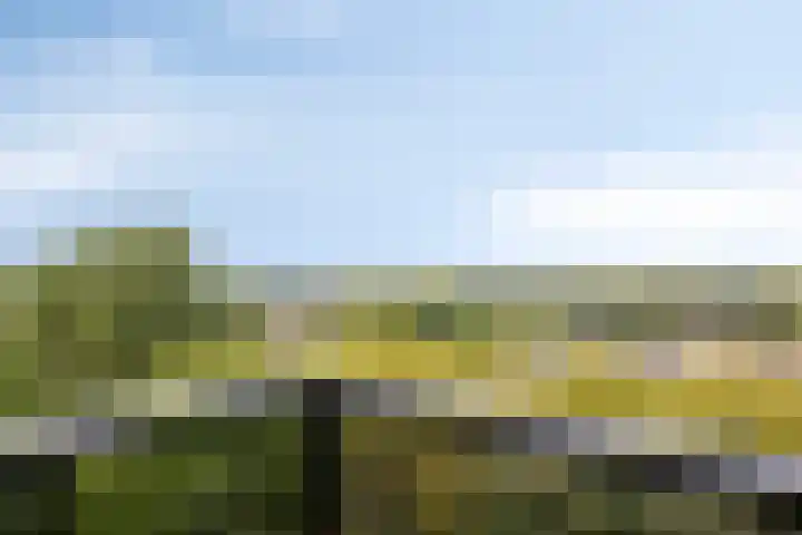 Octant 203 Dordrecht thumbnail 32