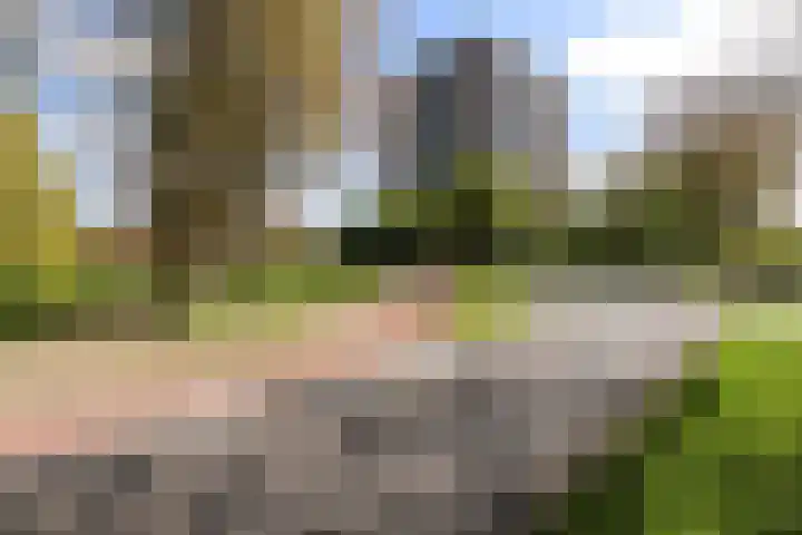 Octant 207 Dordrecht thumbnail 22