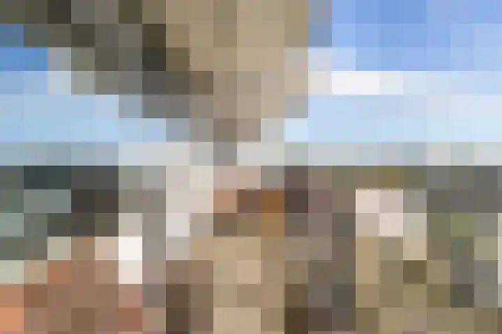 Octant 213 Dordrecht thumbnail 20