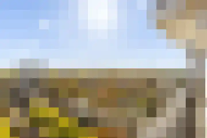 Octant 213 Dordrecht thumbnail 22