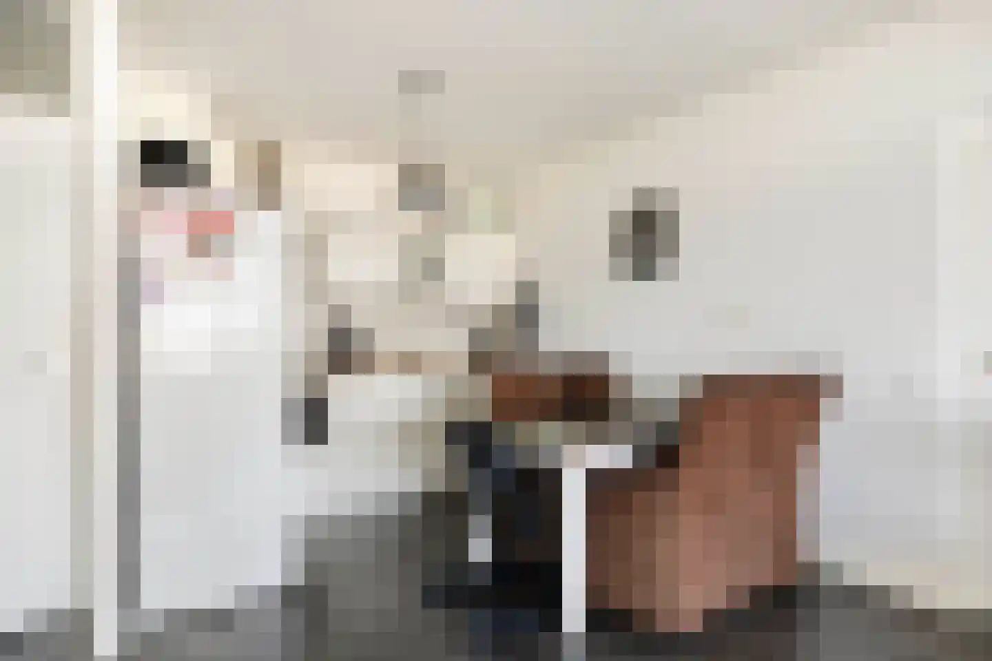Octant 220 Dordrecht thumbnail 10
