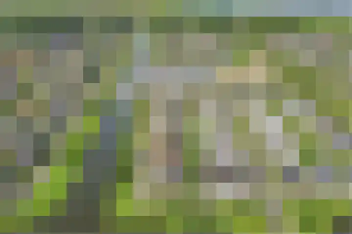 Octant 24 Almere thumbnail 48