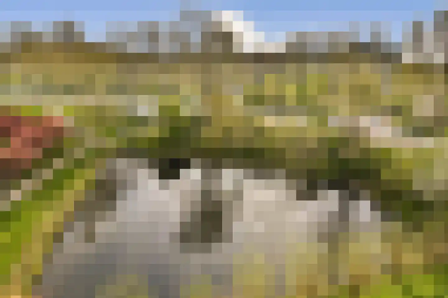Octant 51 Dordrecht thumbnail 13