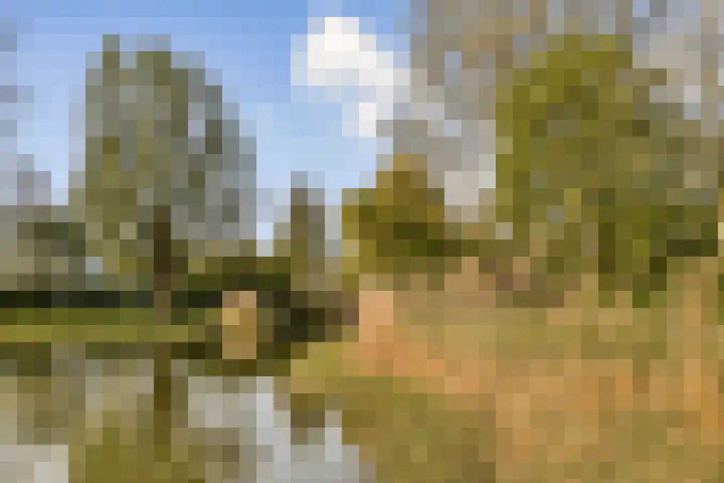 Octant 51 Dordrecht thumbnail 21