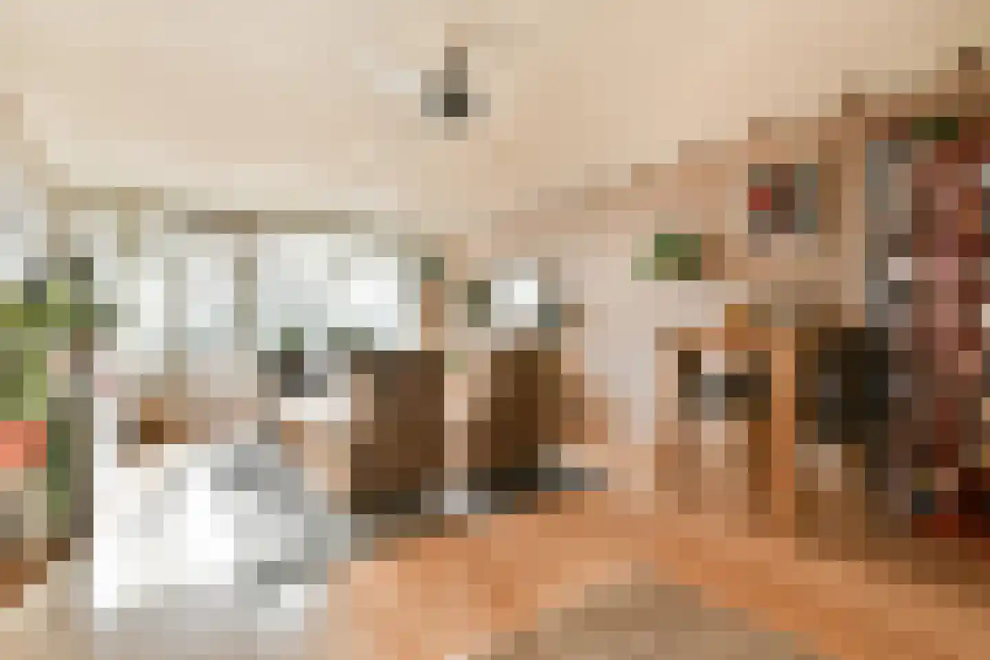 Octant 51 Dordrecht thumbnail 9