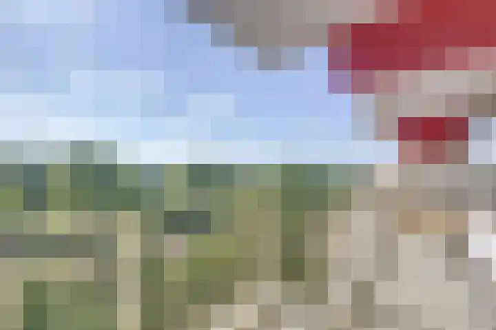 Octant 71 Dordrecht thumbnail 26
