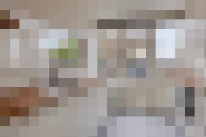 Octave van Rijsselberghestraat 59 Breda thumbnail 13