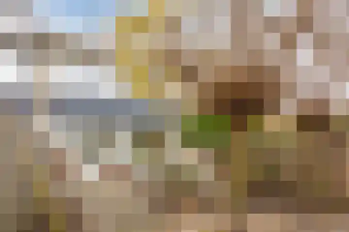 Octave van Rijsselberghestraat 59 Breda thumbnail 5