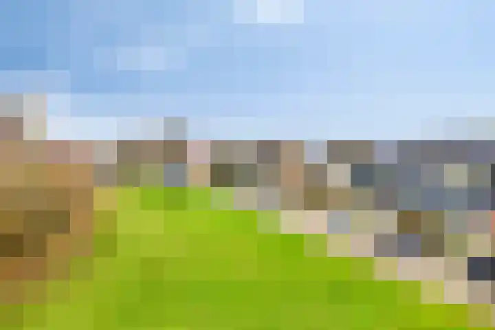 Octave van Rijsselberghestraat 73 Breda thumbnail 37