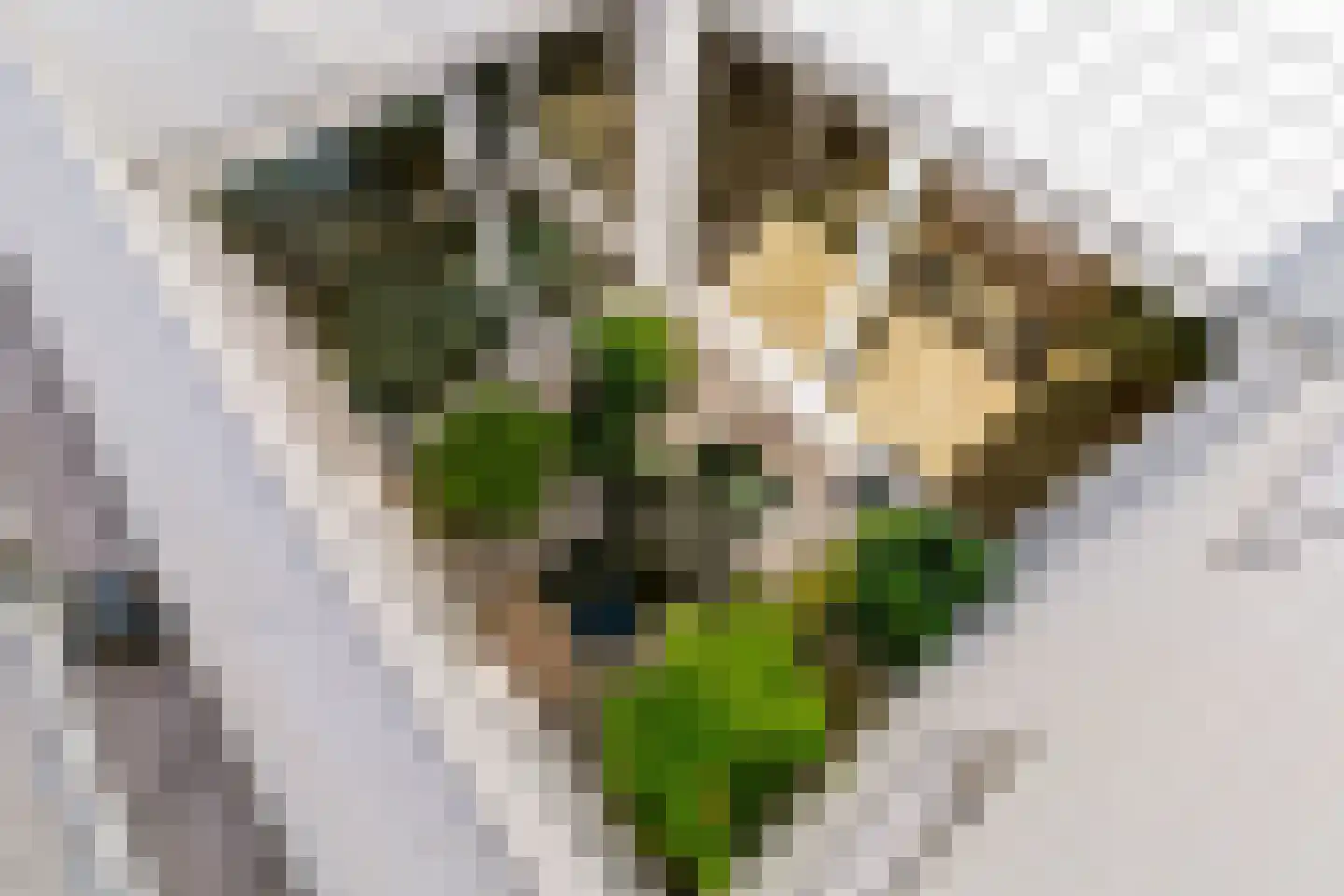 Octavialaan 53 Leiden thumbnail 21