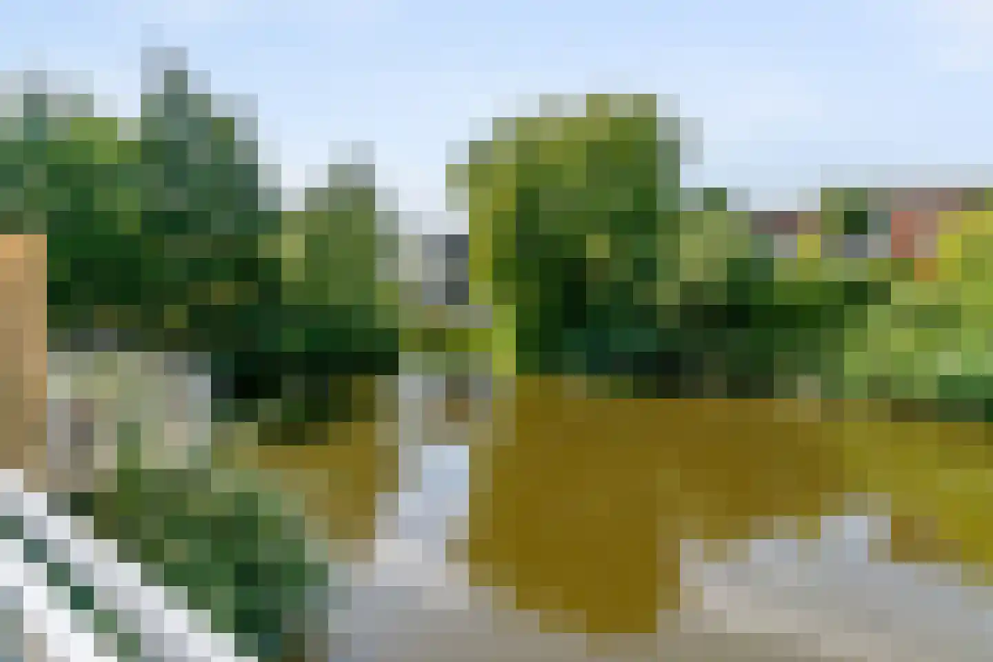 Octavialaan 53 Leiden thumbnail 53