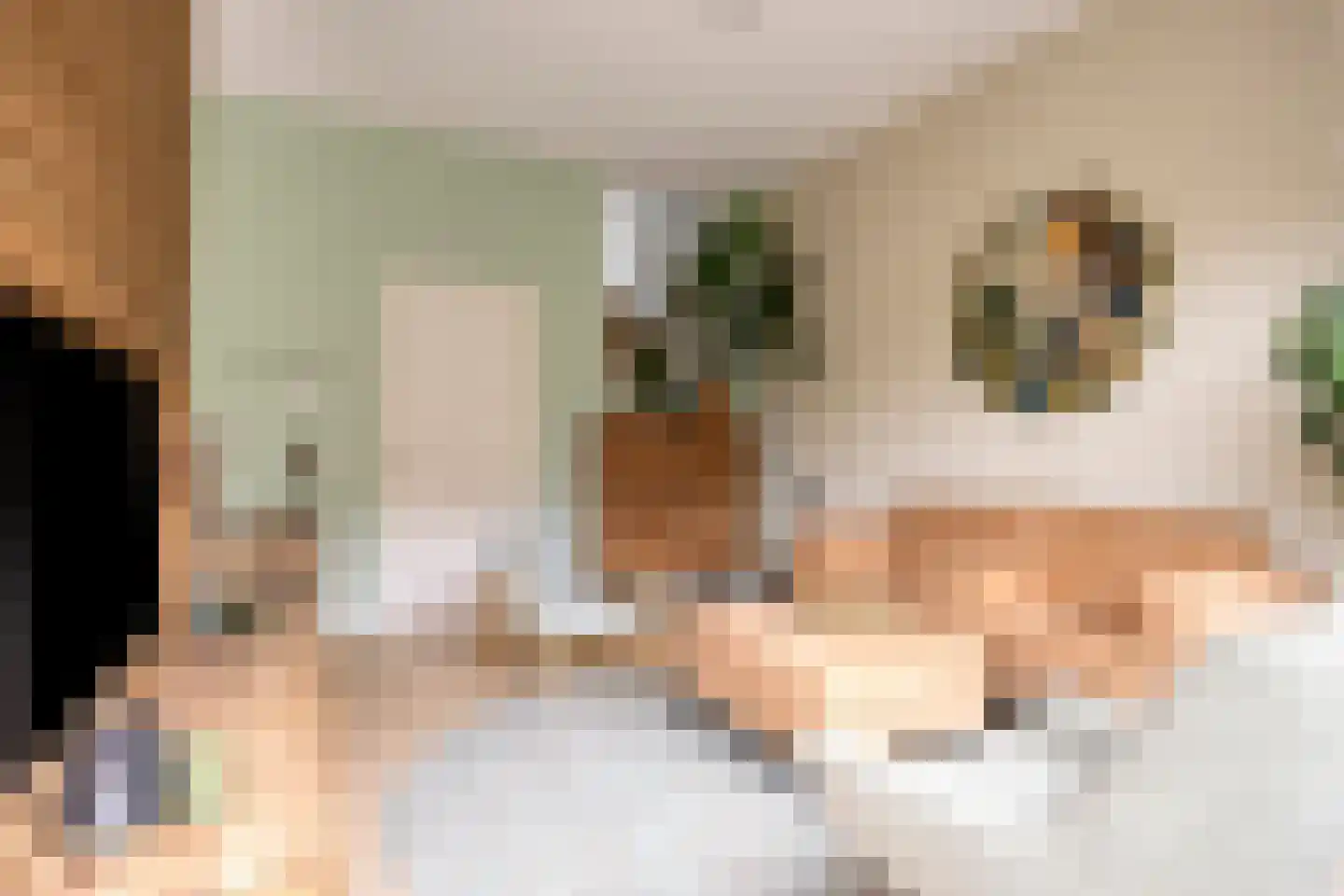 Octavialaan 64 Leiden thumbnail 10