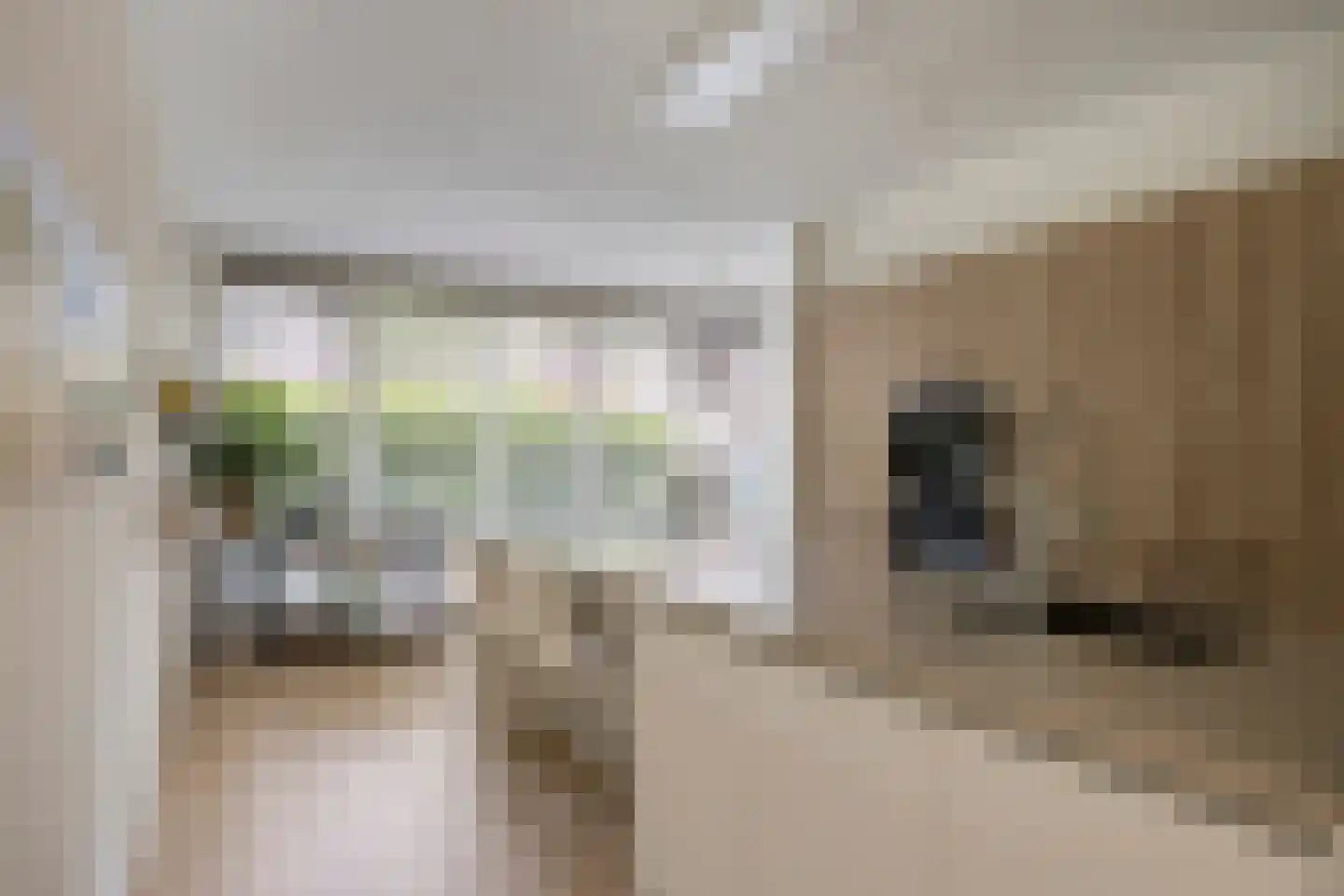 Octavialaan 64 Leiden thumbnail 16
