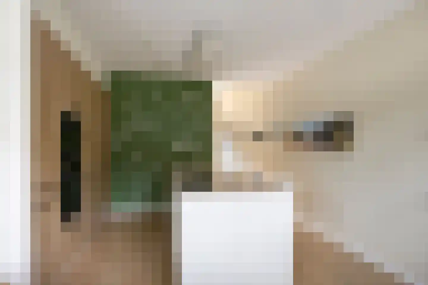 Octavialaan 64 Leiden thumbnail 18