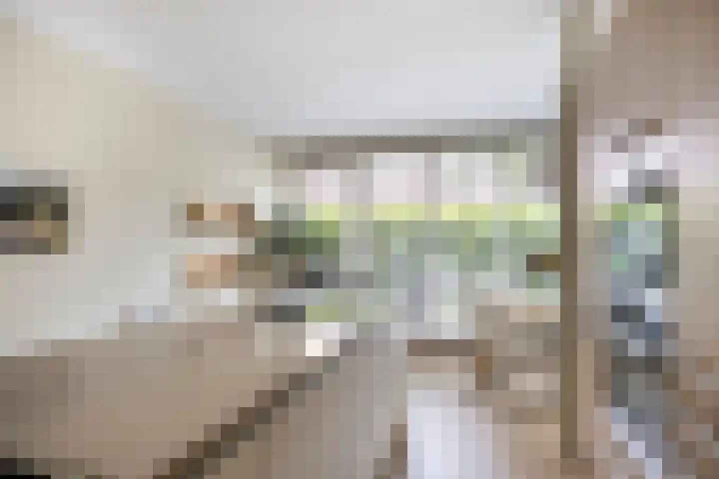 Octavialaan 64 Leiden thumbnail 20
