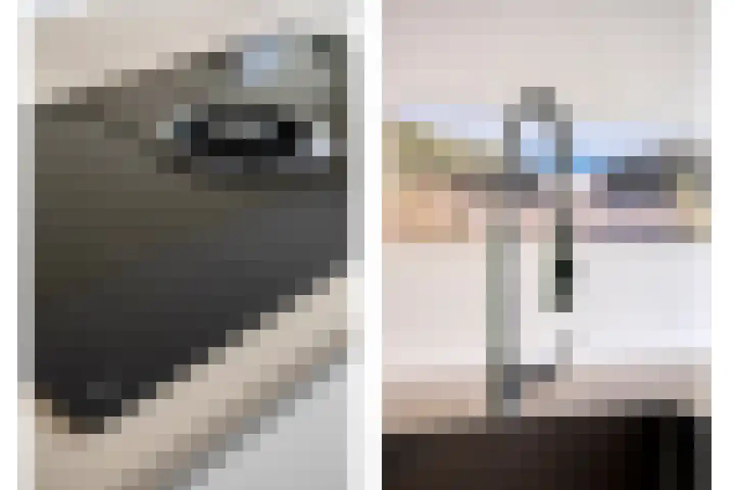 Octavialaan 64 Leiden thumbnail 22