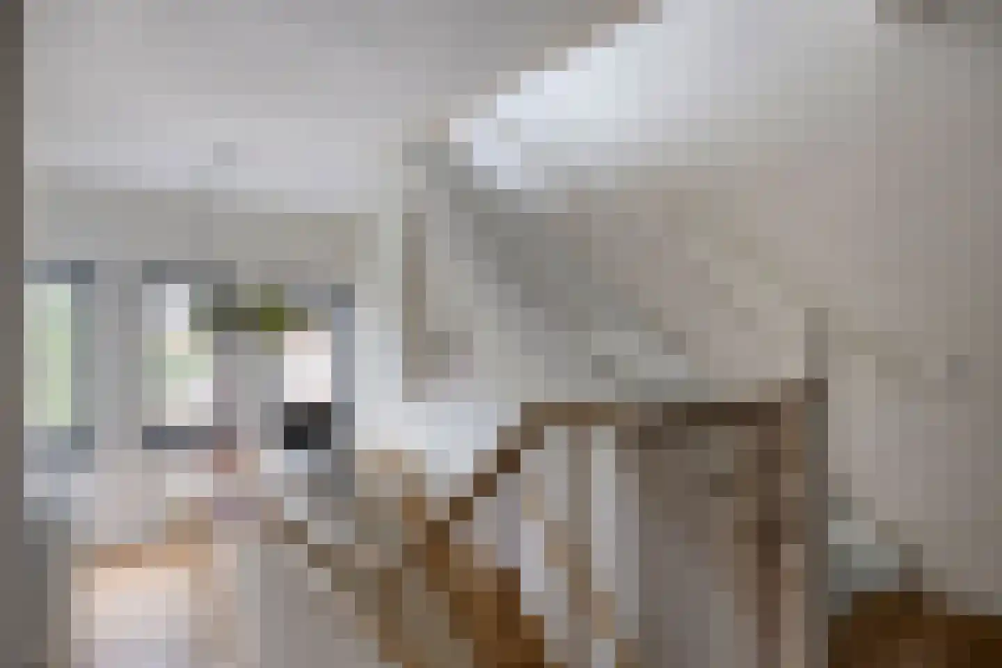 Octavialaan 64 Leiden thumbnail 30