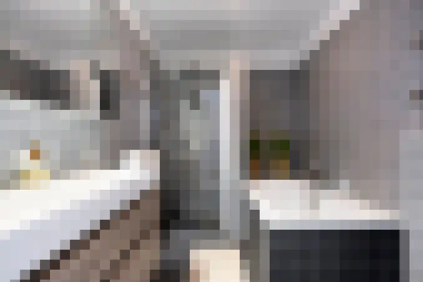 Octavialaan 64 Leiden thumbnail 32