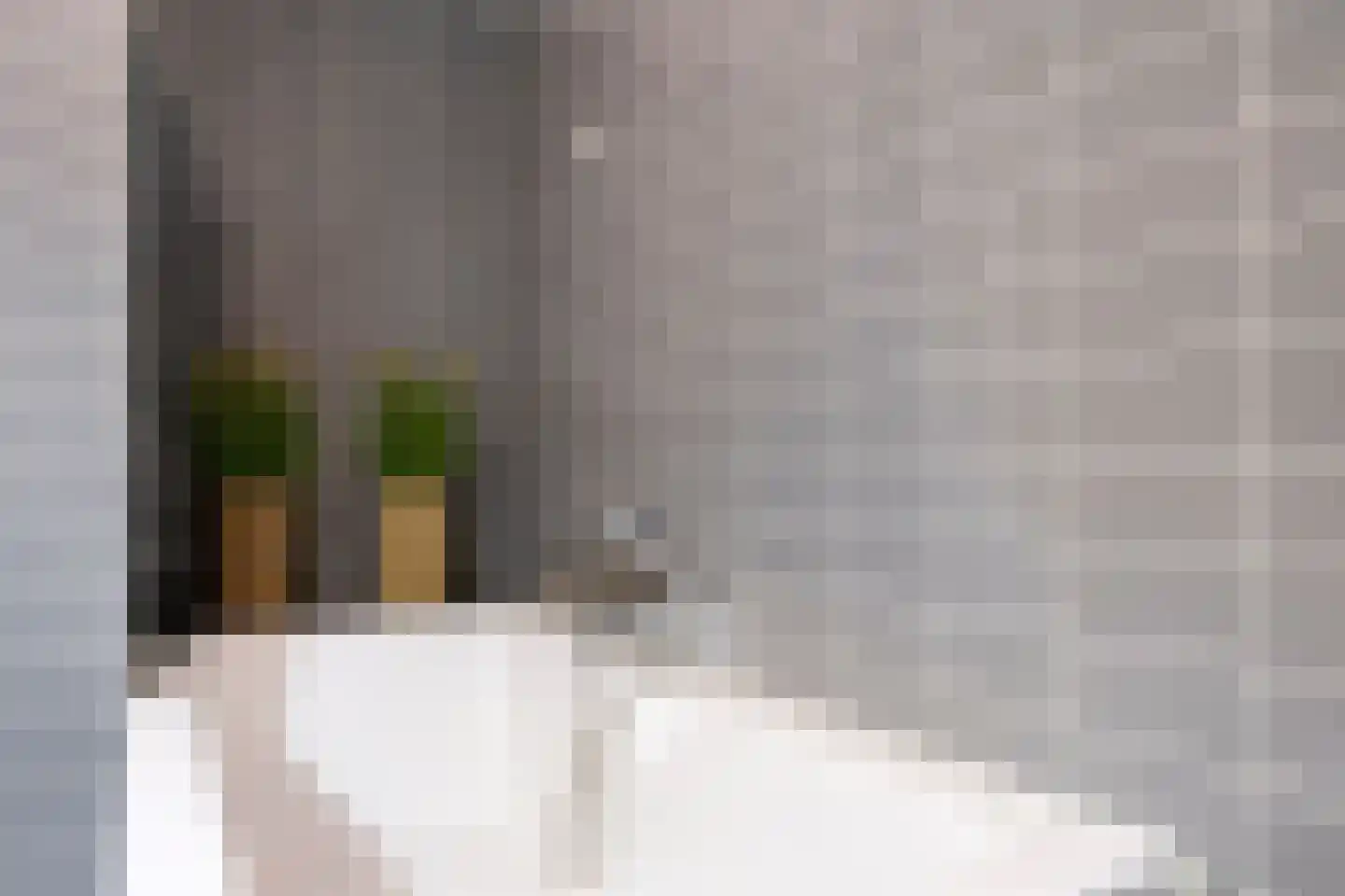 Octavialaan 64 Leiden thumbnail 34