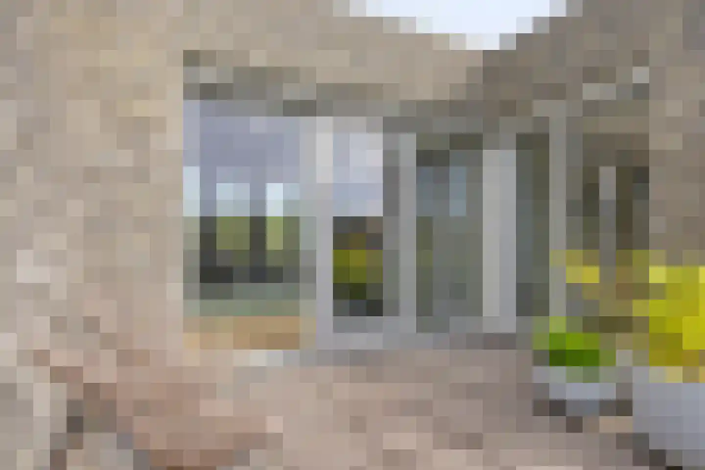 Octavialaan 64 Leiden thumbnail 48