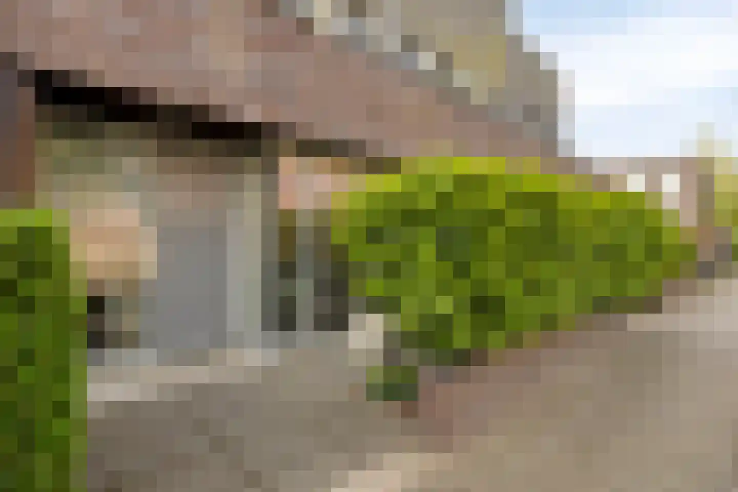 Octavialaan 64 Leiden thumbnail 5