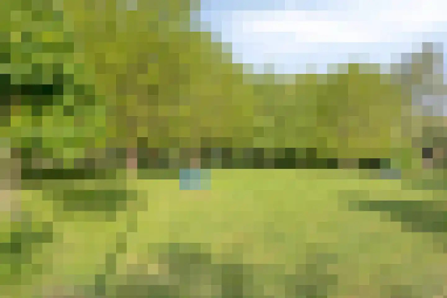 Octavialaan 64 Leiden thumbnail 63