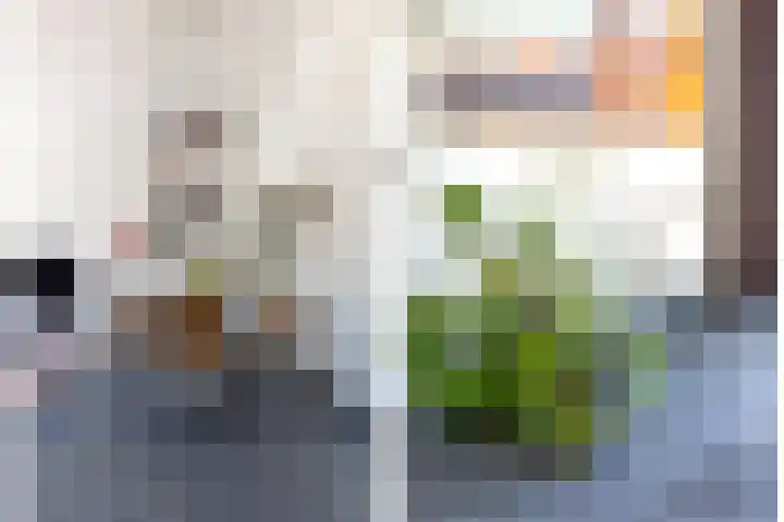 Octavialaan 82 Leiden thumbnail 13