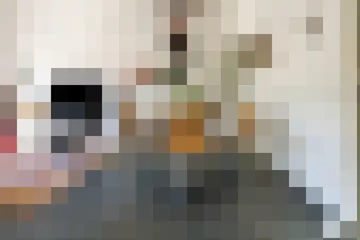 Octavialaan 82 Leiden thumbnail 14