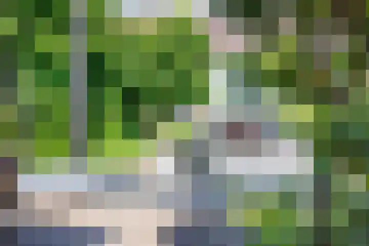 Octavialaan 82 Leiden thumbnail 26
