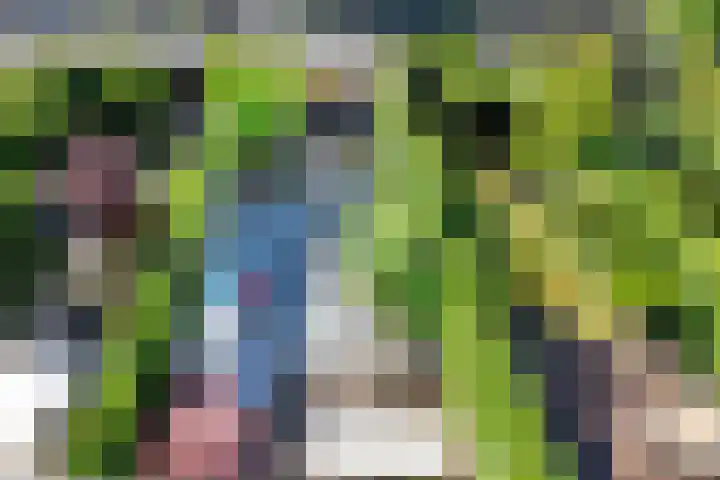 Octavialaan 82 Leiden thumbnail 36