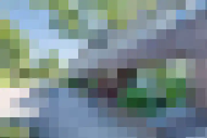 Octavialaan 82 Leiden thumbnail 4