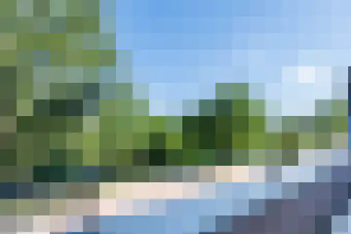 Octavialaan 82 Leiden thumbnail 40