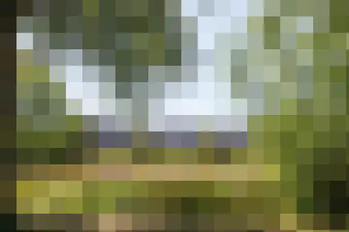 Octavialaan 82 Leiden thumbnail 55