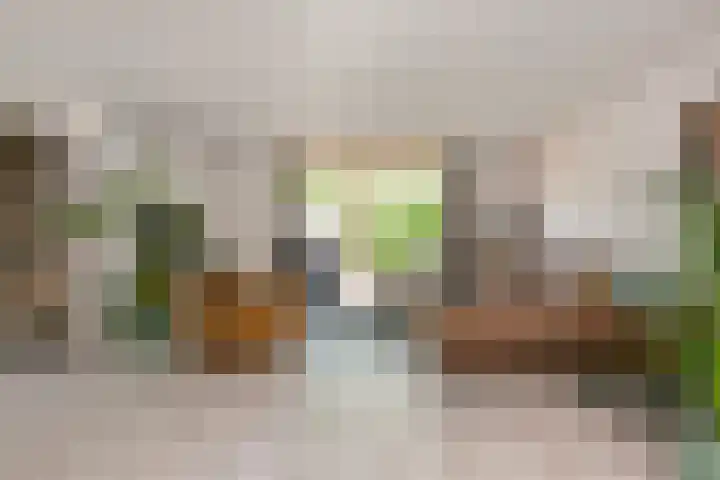 Octavianus 60 Wijk bij Duurstede thumbnail 10