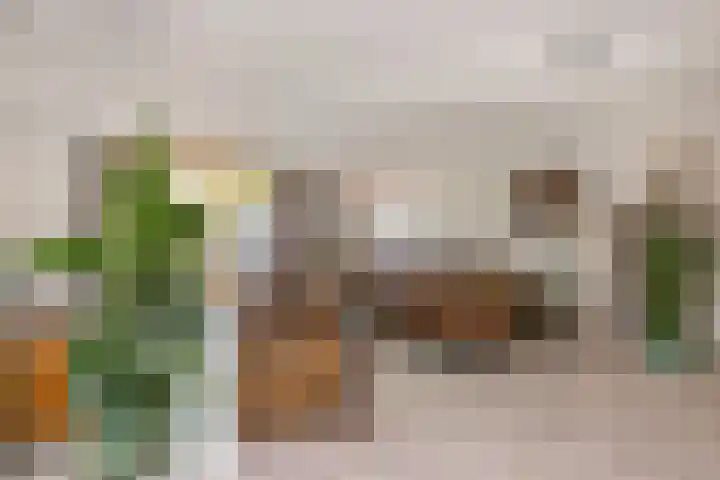 Octavianus 60 Wijk bij Duurstede thumbnail 11