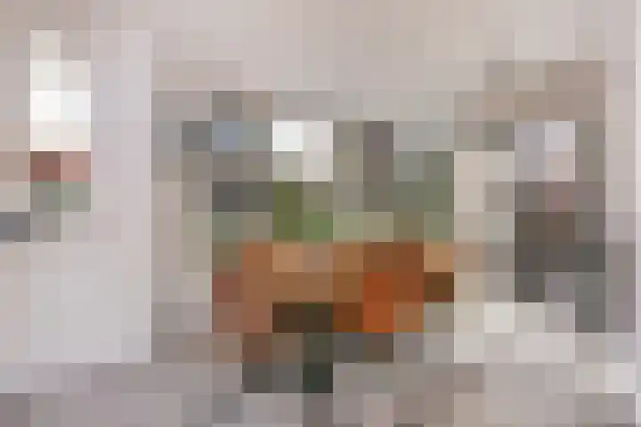 Octavianus 60 Wijk bij Duurstede thumbnail 15