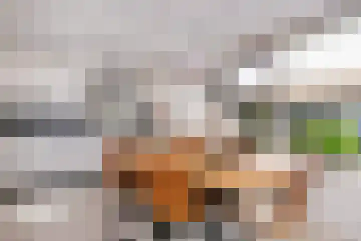 Octavianus 60 Wijk bij Duurstede thumbnail 16