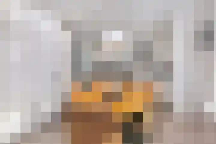 Octavianus 60 Wijk bij Duurstede thumbnail 17
